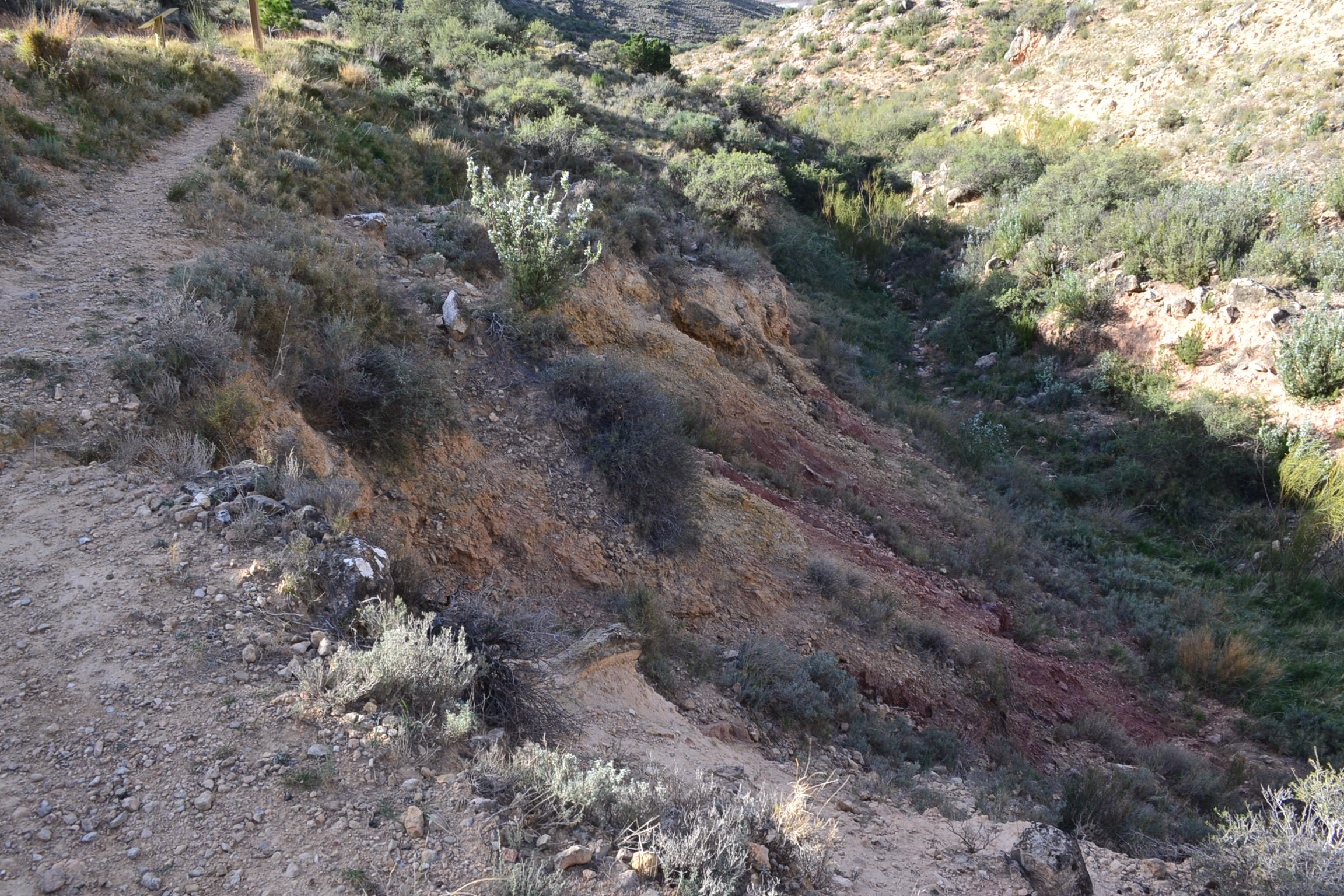 Barranco del Baldío