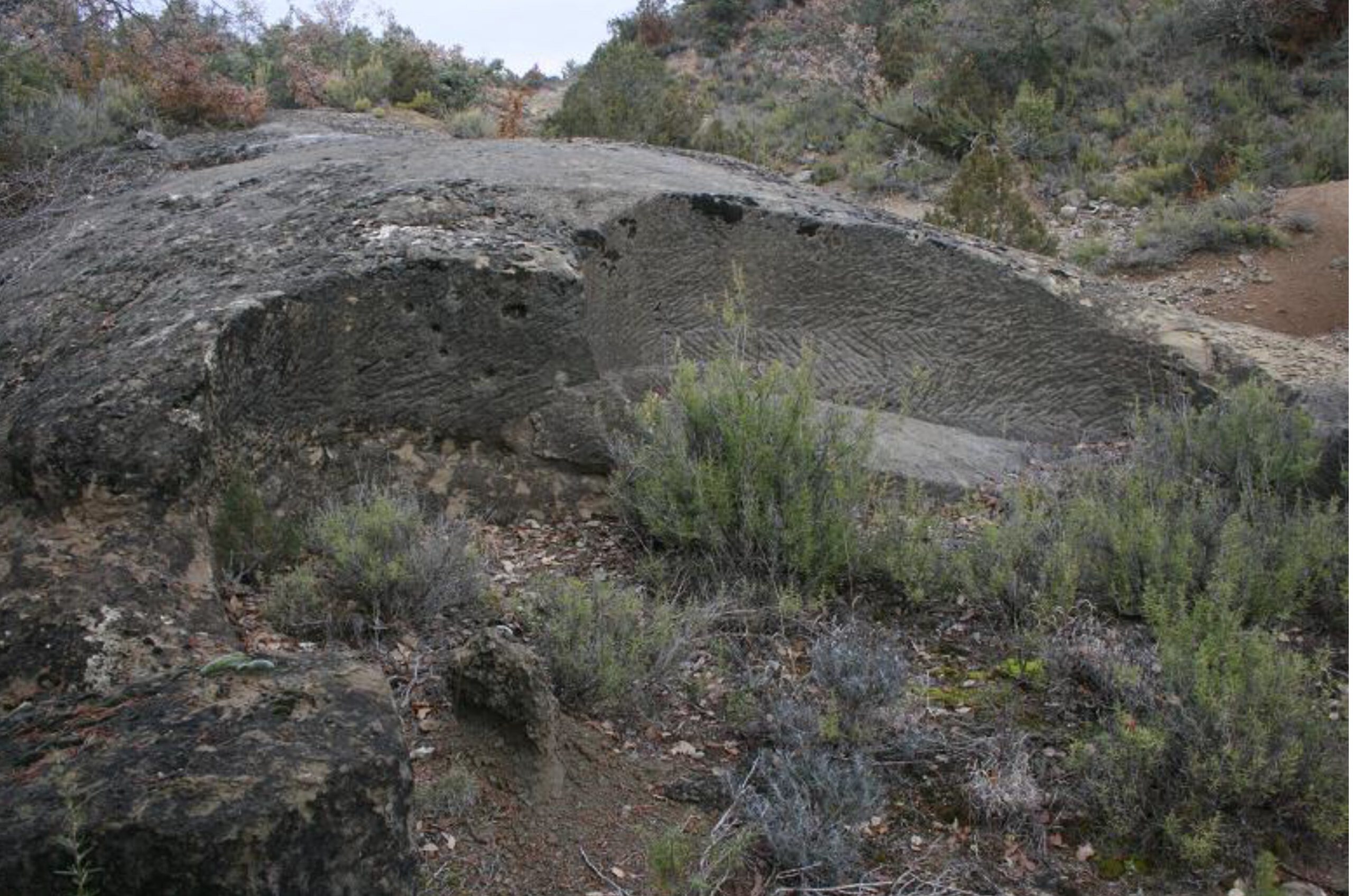 Cantera La Coloma