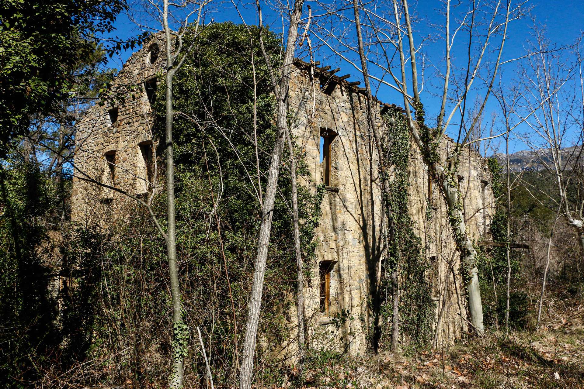 Baños de Arro