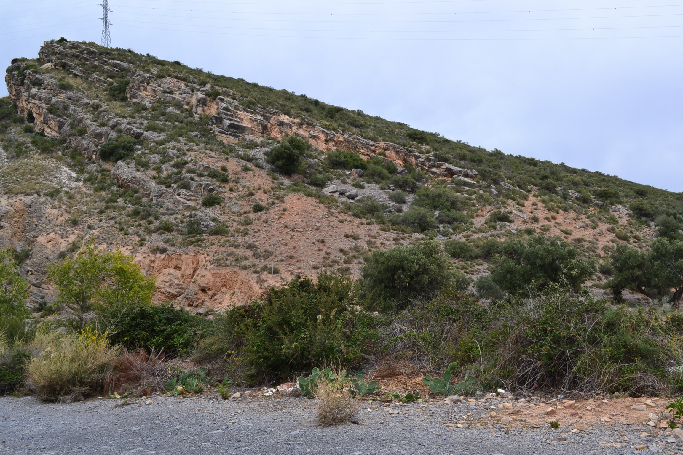 Cantera Peñalasfuelles